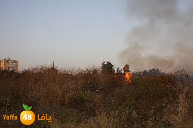 fireina7rashyaffa505 (14).JPG